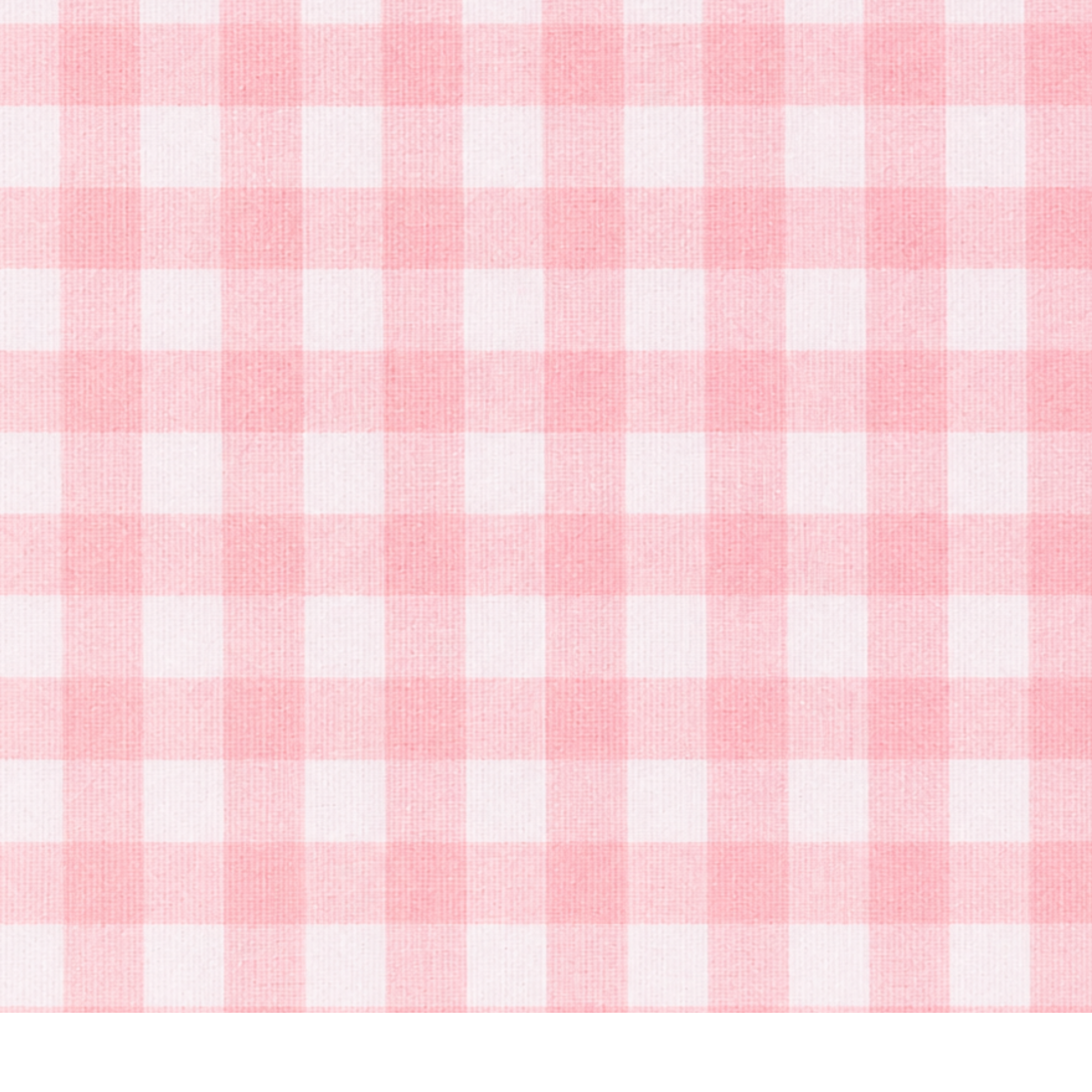 CLASSIC GINGHAM CHECK SHORT PAJAMAS W/ RIC RAK TRIM - Lenora